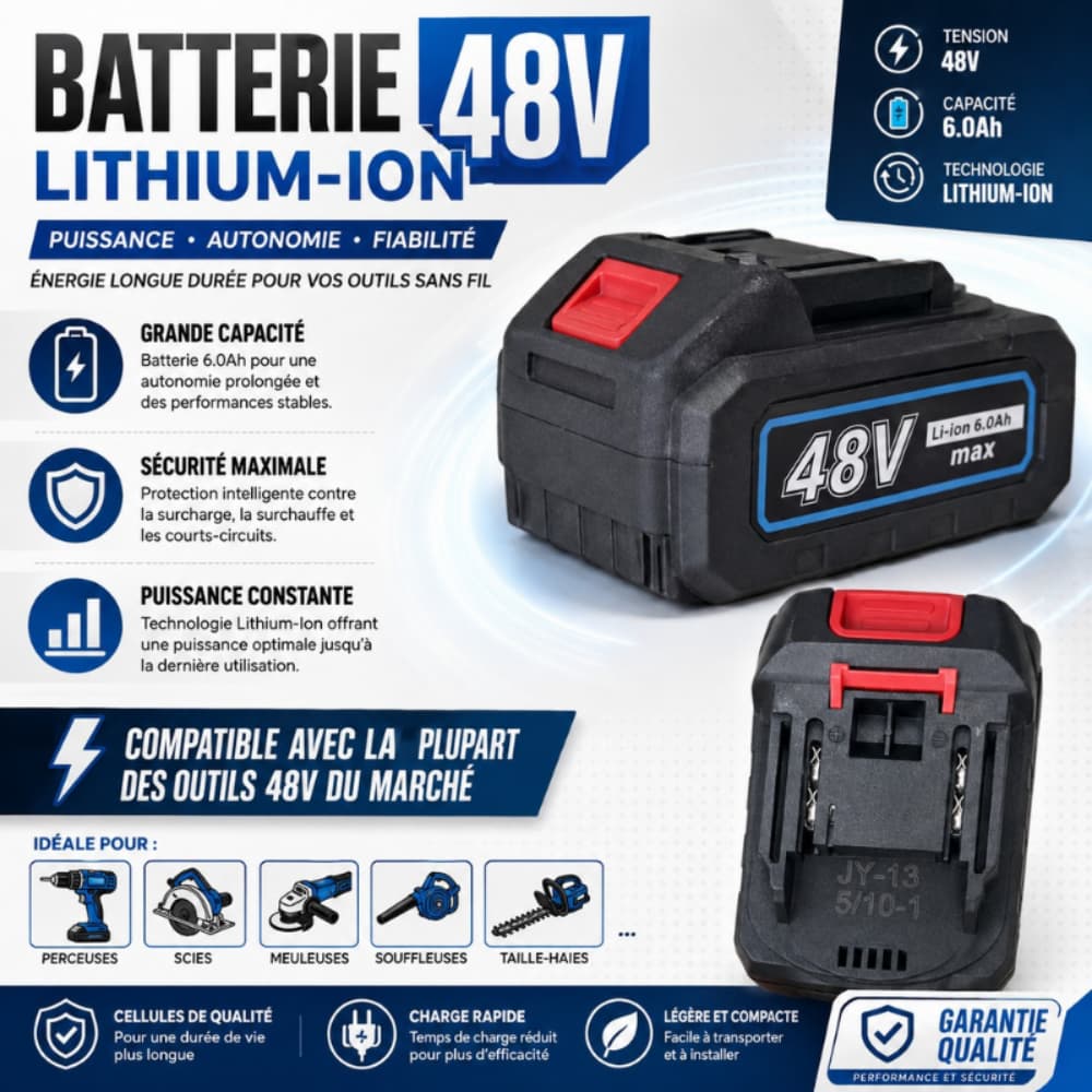 BATTERIE 48V LITHIUM-ION 1MMT2-9